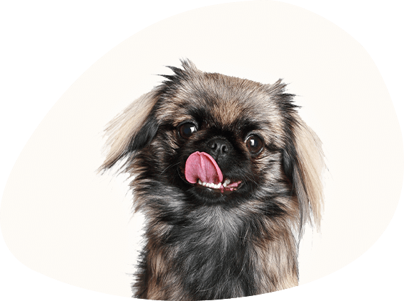 Fritz, klein aber oho!